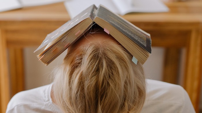 Person with a book on their face