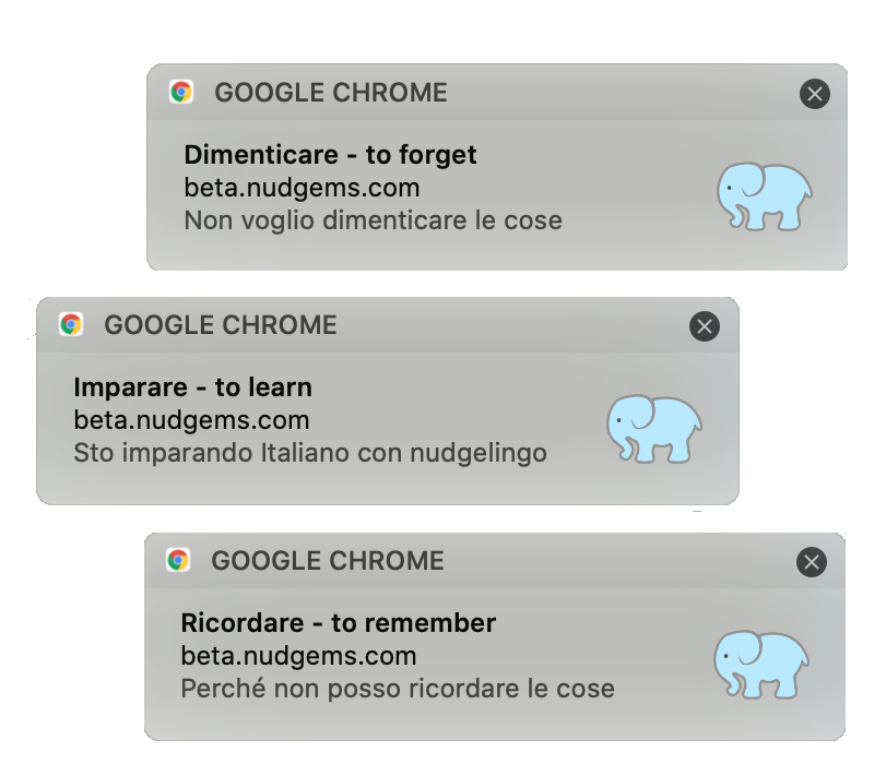 View notifications